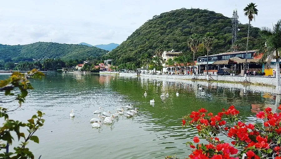 Lago de Chapala alcanza su mejor nivel en tres años, pese a ligera disminución en 2026