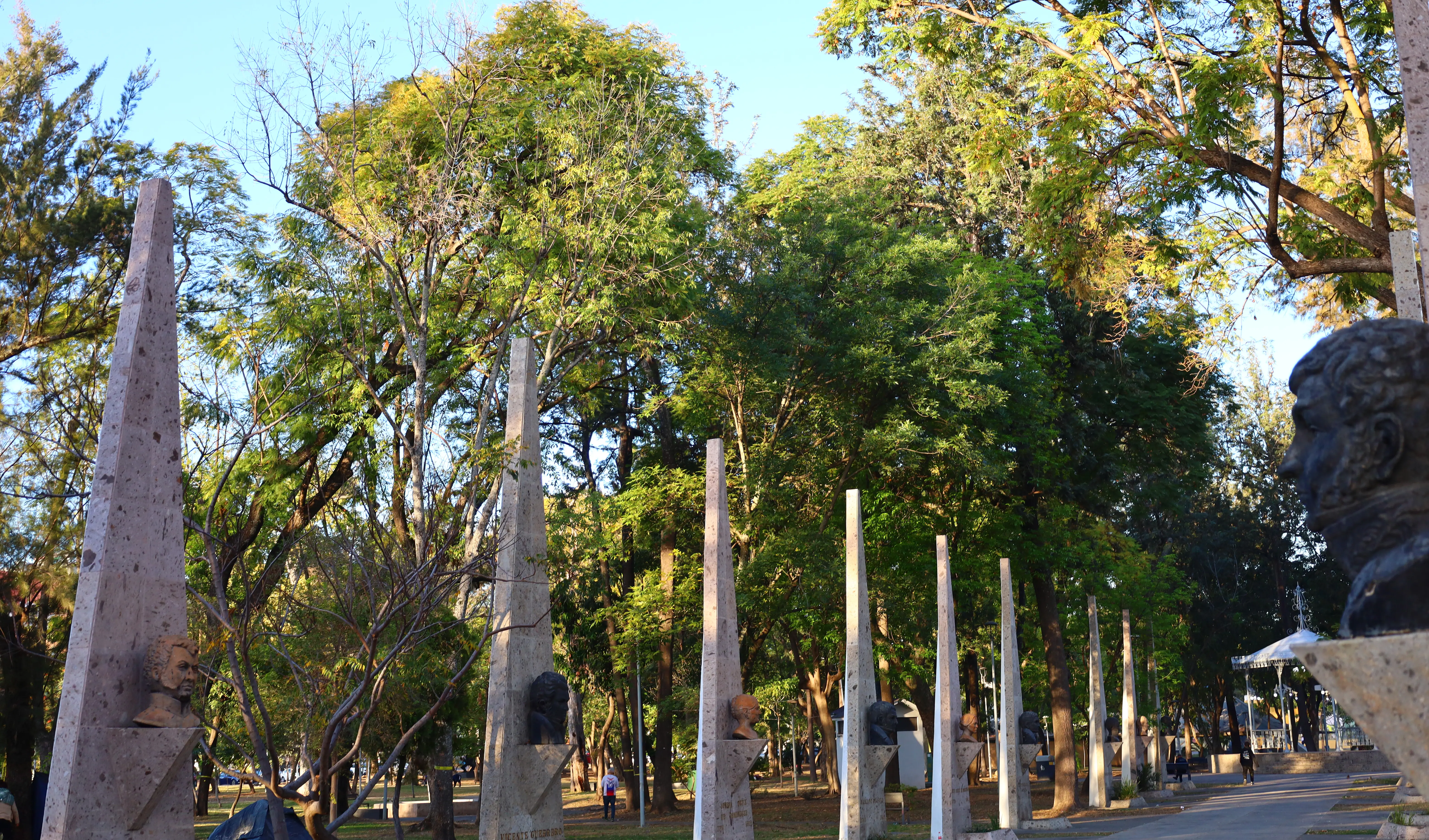 Limpian de muérdago los parques del AMG