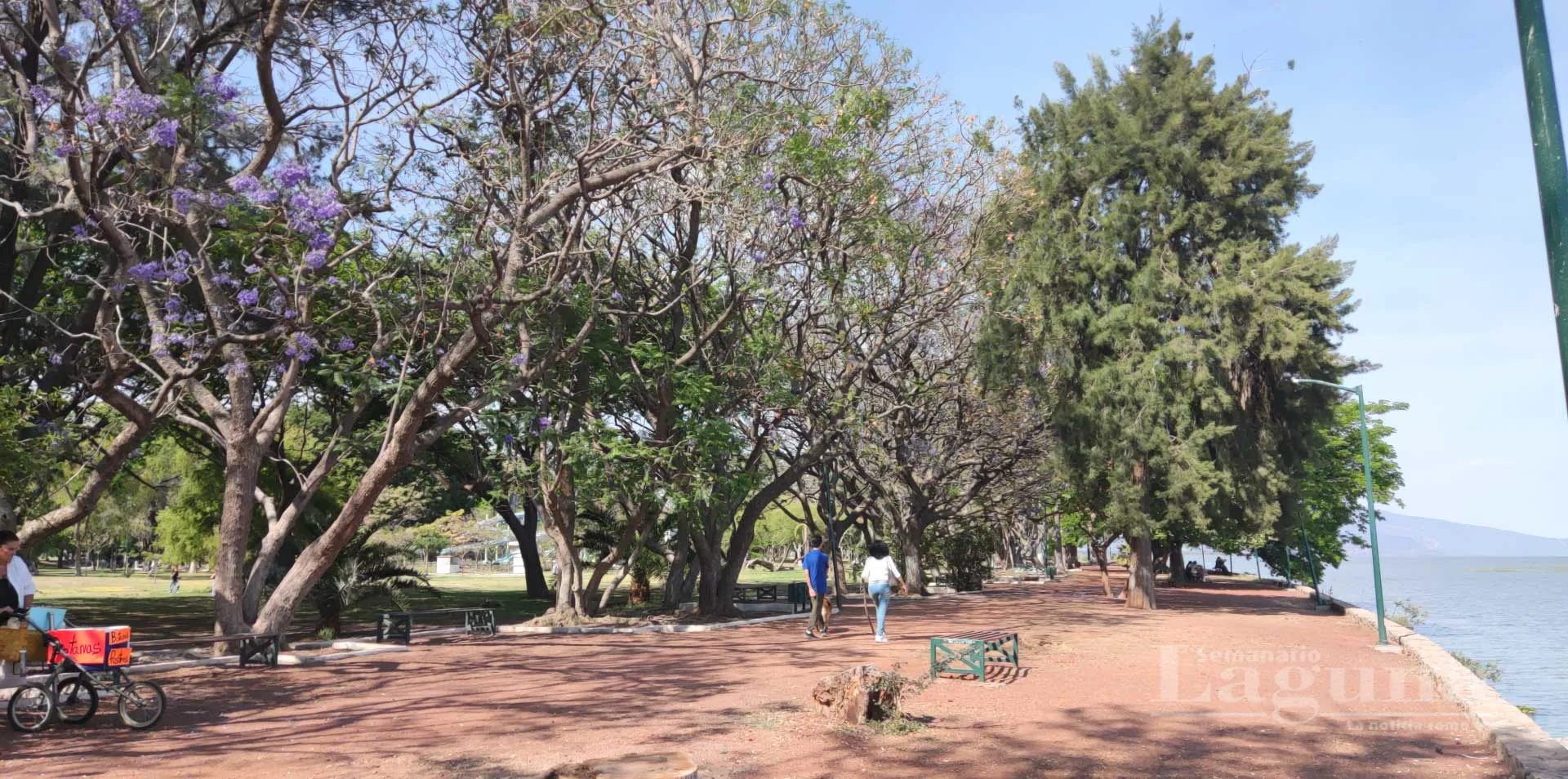 Arrancará en mayo rehabilitación de "Acapulquito" y el Parque de la Cristianía