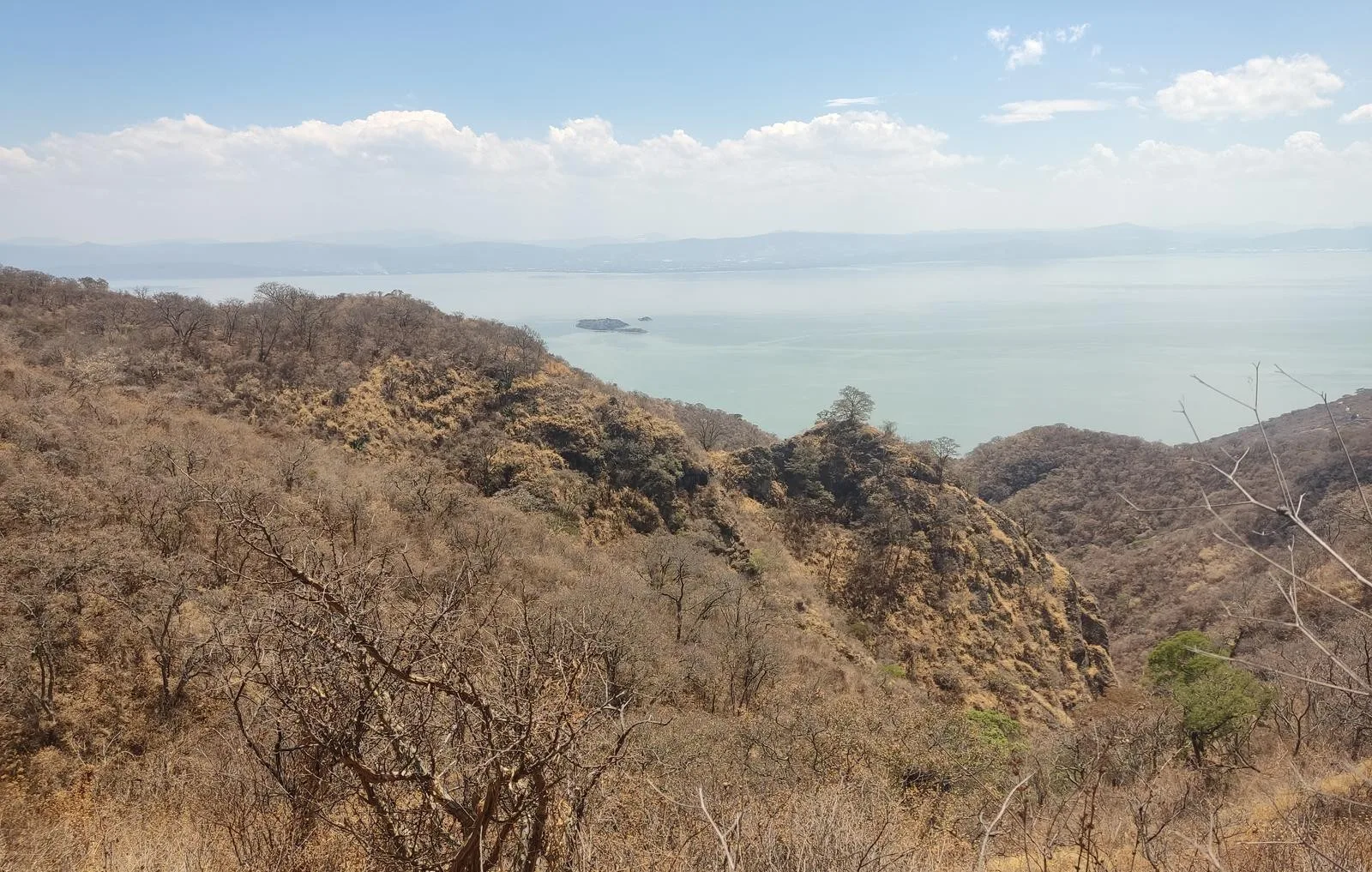 Exigen protección legal y recursos para la Sierra Cóndiro-Canales