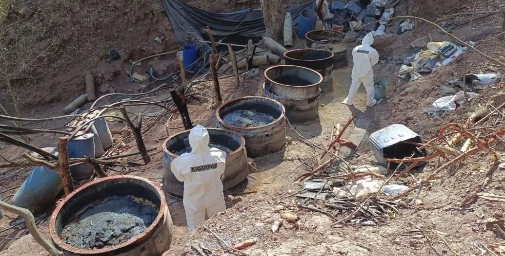 Desmantelan cinco narcolaboratorios en Jalisco, Nayarit y Sinaloa 