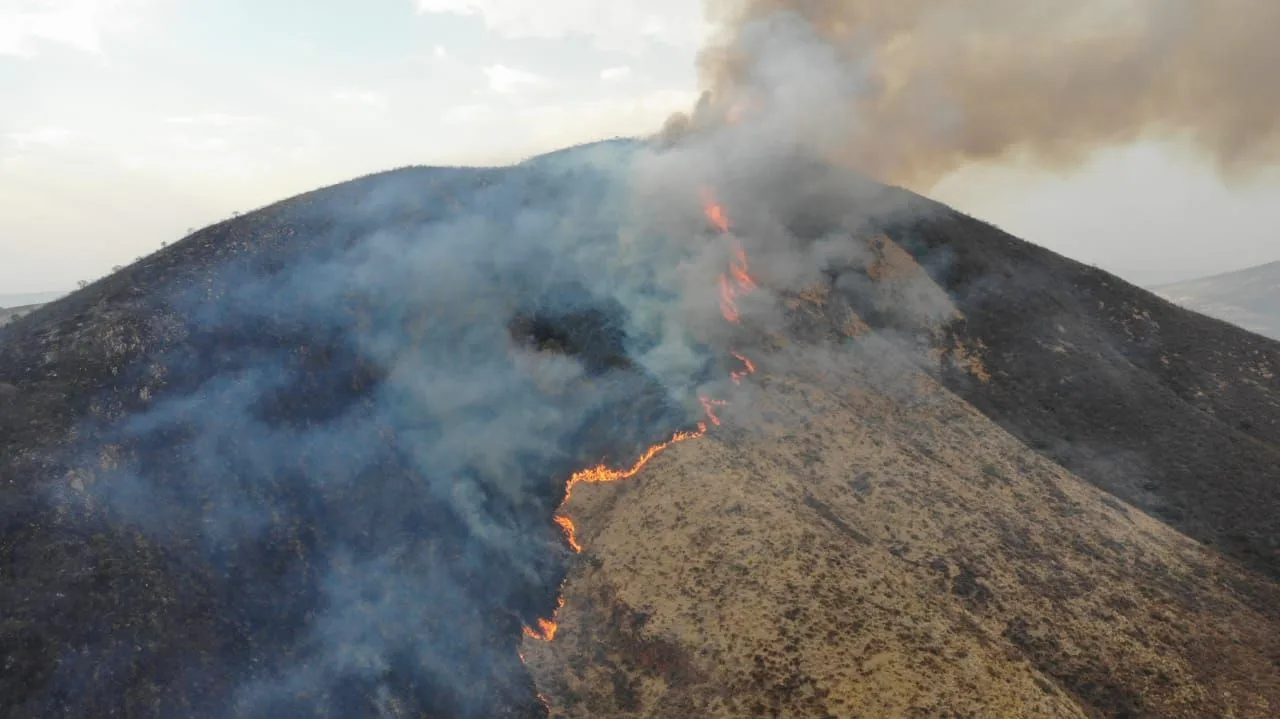 Más de 260 incendios han sido atendidos en Chapala durante la temporada de estiaje