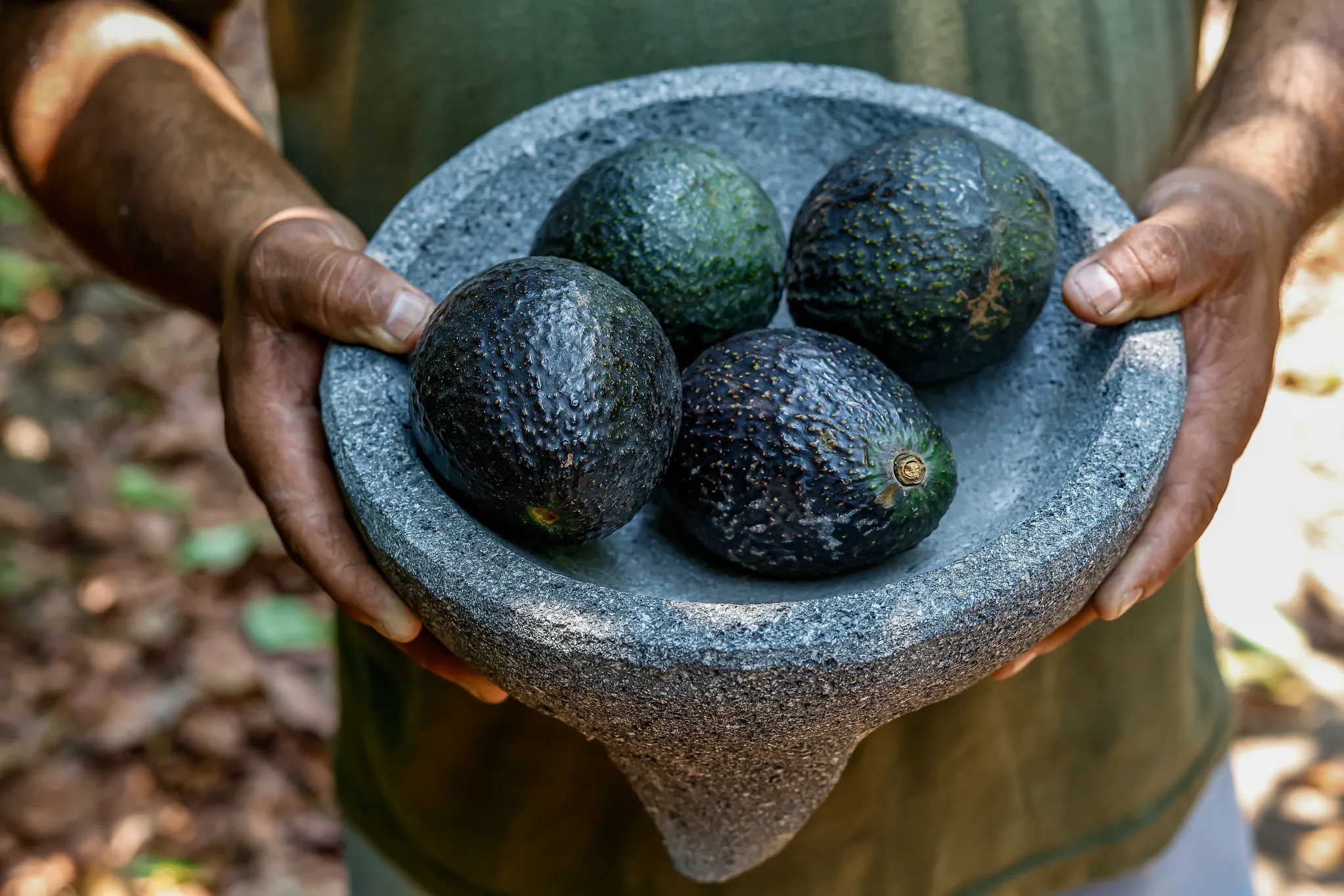 Buscará Jalisco este jueves romper el récord Guinness con el guacamole más grande 