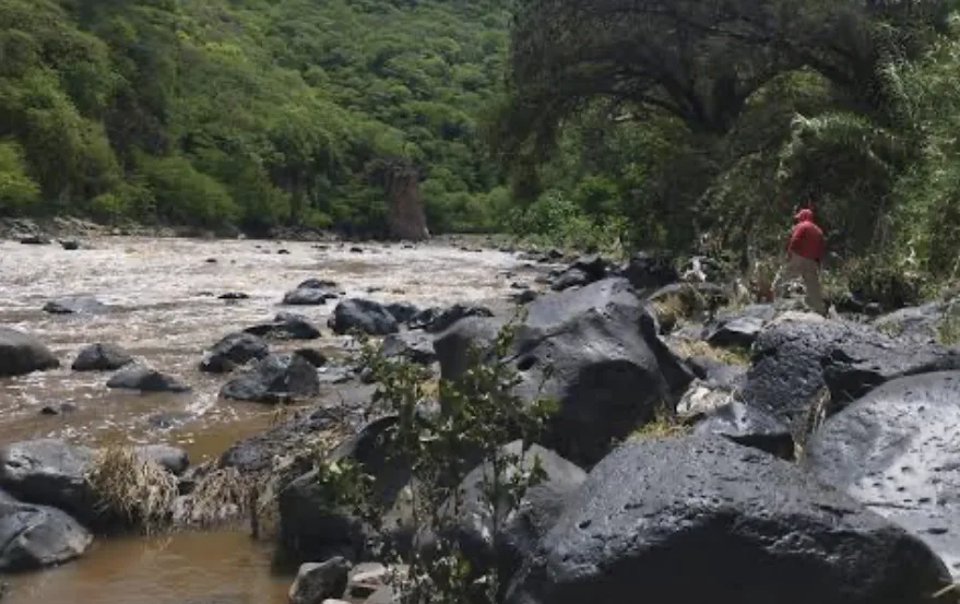 Localizan cuerpo en el Río Santiago tras reporte de hombre arrastrado por la corriente en Zapopan