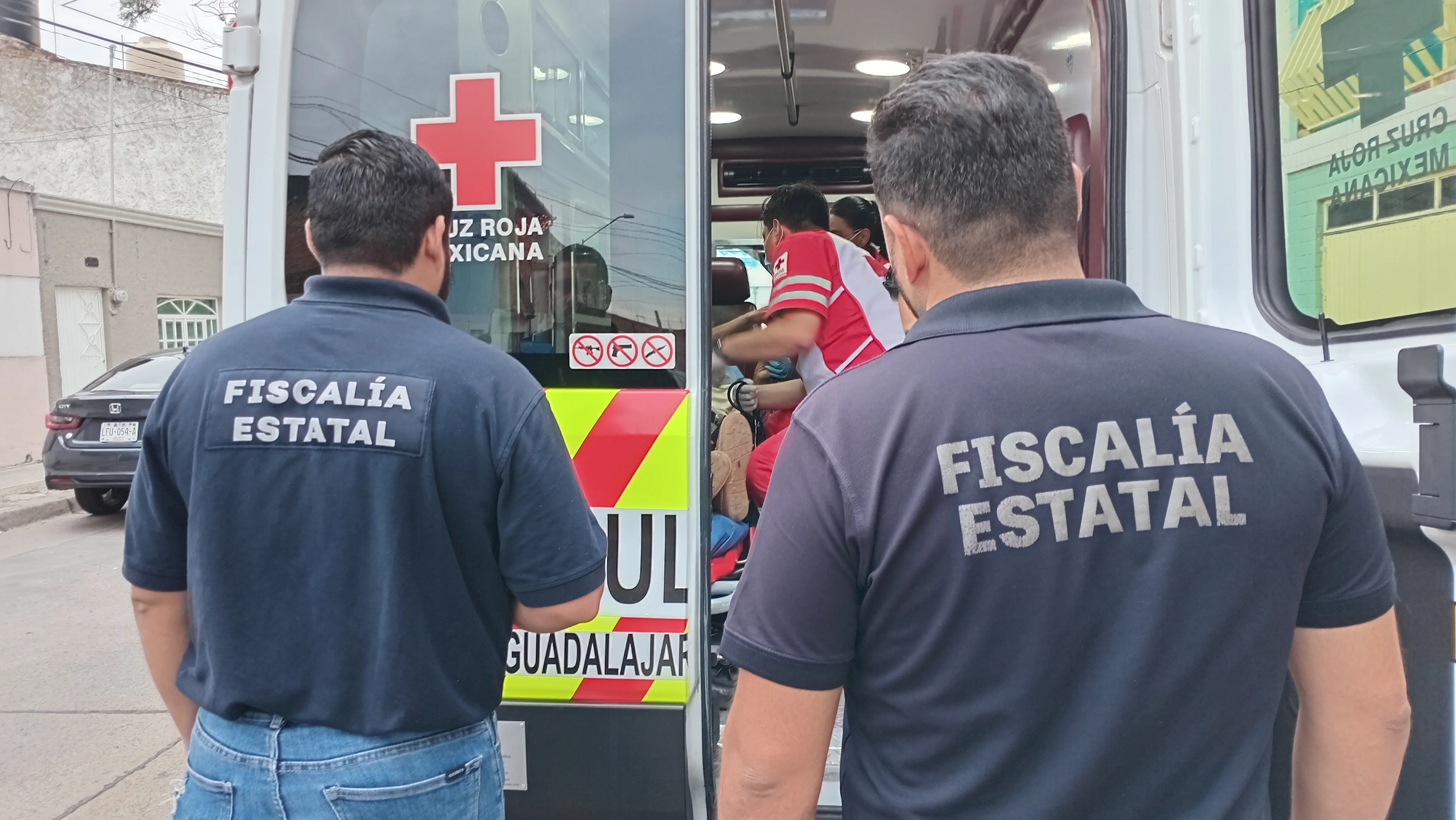 Rescatan a adulta mayor que vivía entre 39 perros enfermos y desnutridos 