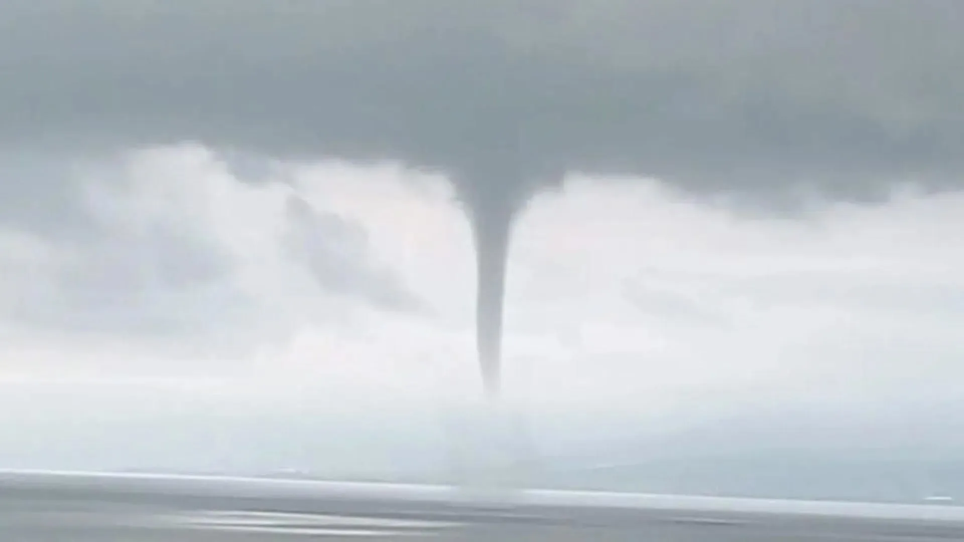 Sorprende “culebra de agua” en el lago de Chapala