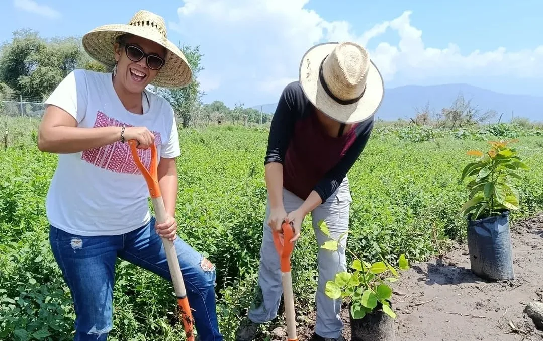 Lanzan convocatoria para seis jornadas de reforestación en la ribera de Chapala 