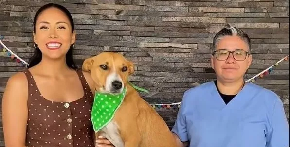 Impulsa Gobierno de Chapala campaña de adopción para dar hogar a 26 perros del albergue municipal