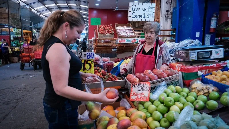 Jalisco pondrá en marcha plan para reducir la mosca de la fruta en cultivos de mango