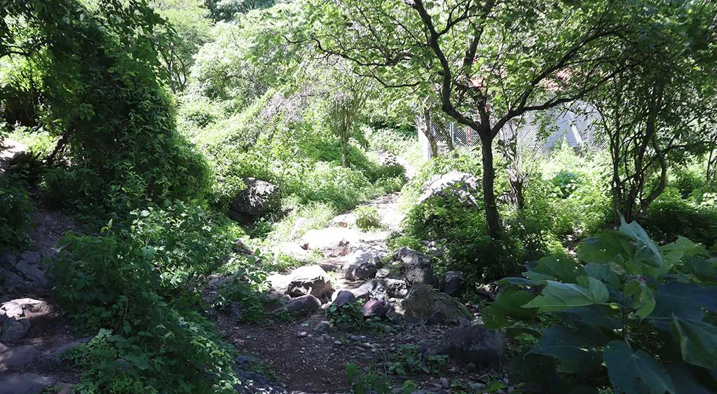 ¿Vacaciones en Ajijic? Estas son algunas actividades para disfrutar el verano