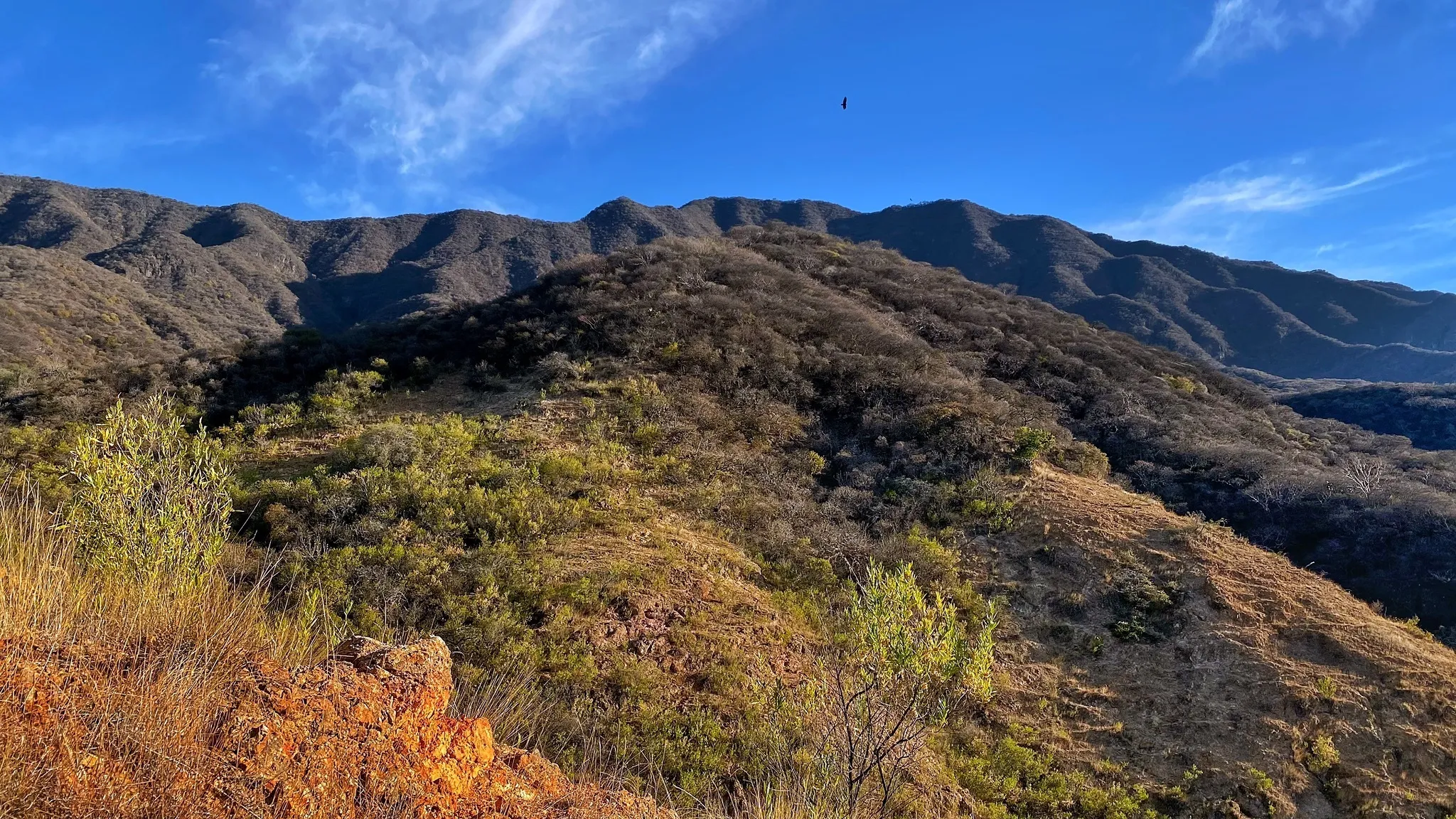 Piden en Change.org "Detener la destrucción de cerros en Ajijic"