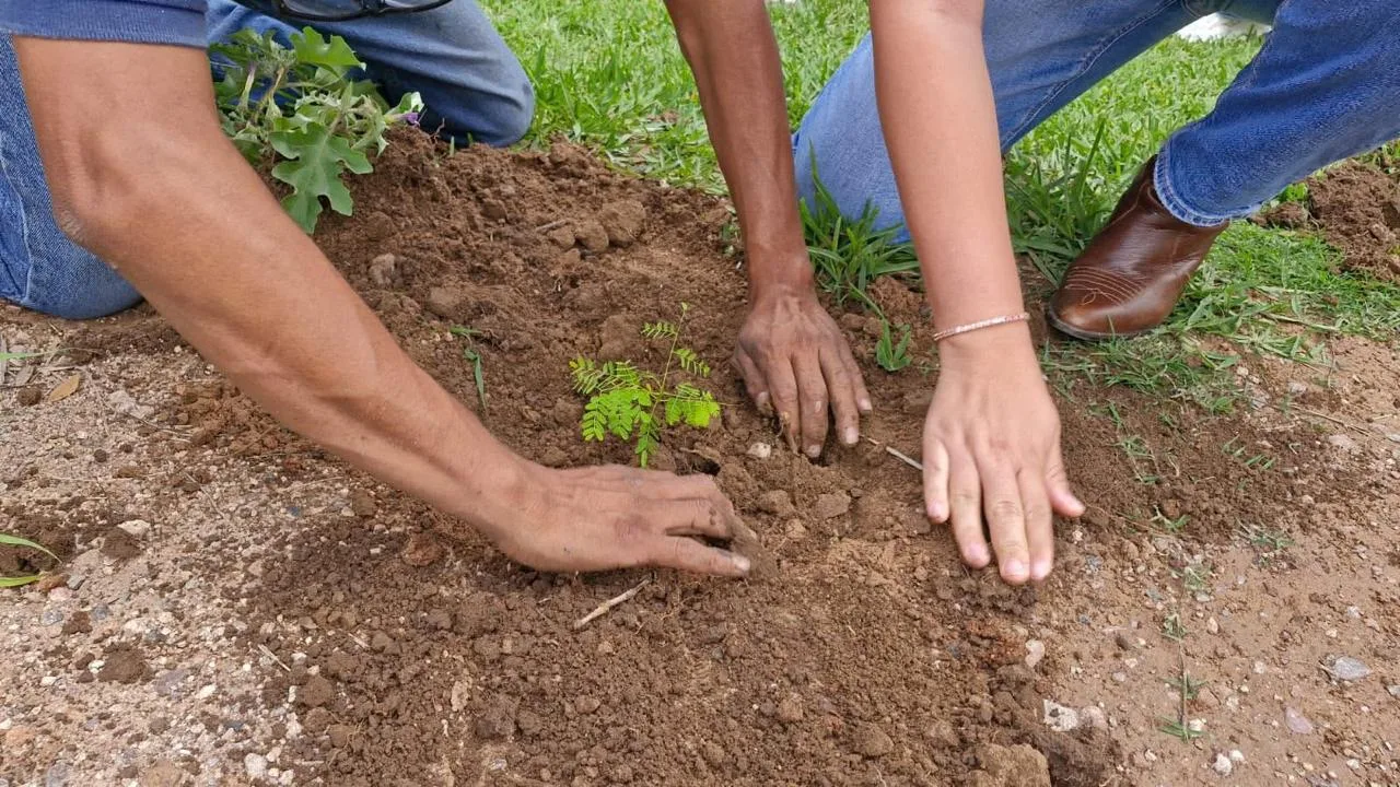 Convocan a jornada de reforestación en Jocotepec