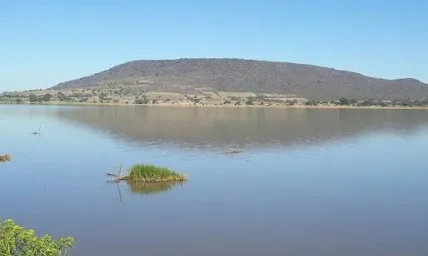 Plantarán árboles para restaurar zona que alimenta al Lago Chapala
