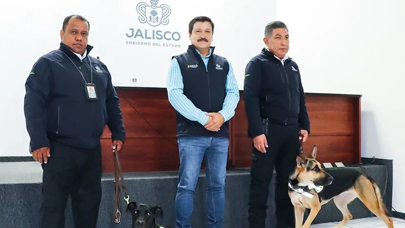 Suma Jalisco mil 45 casos de Gusano Barrenador