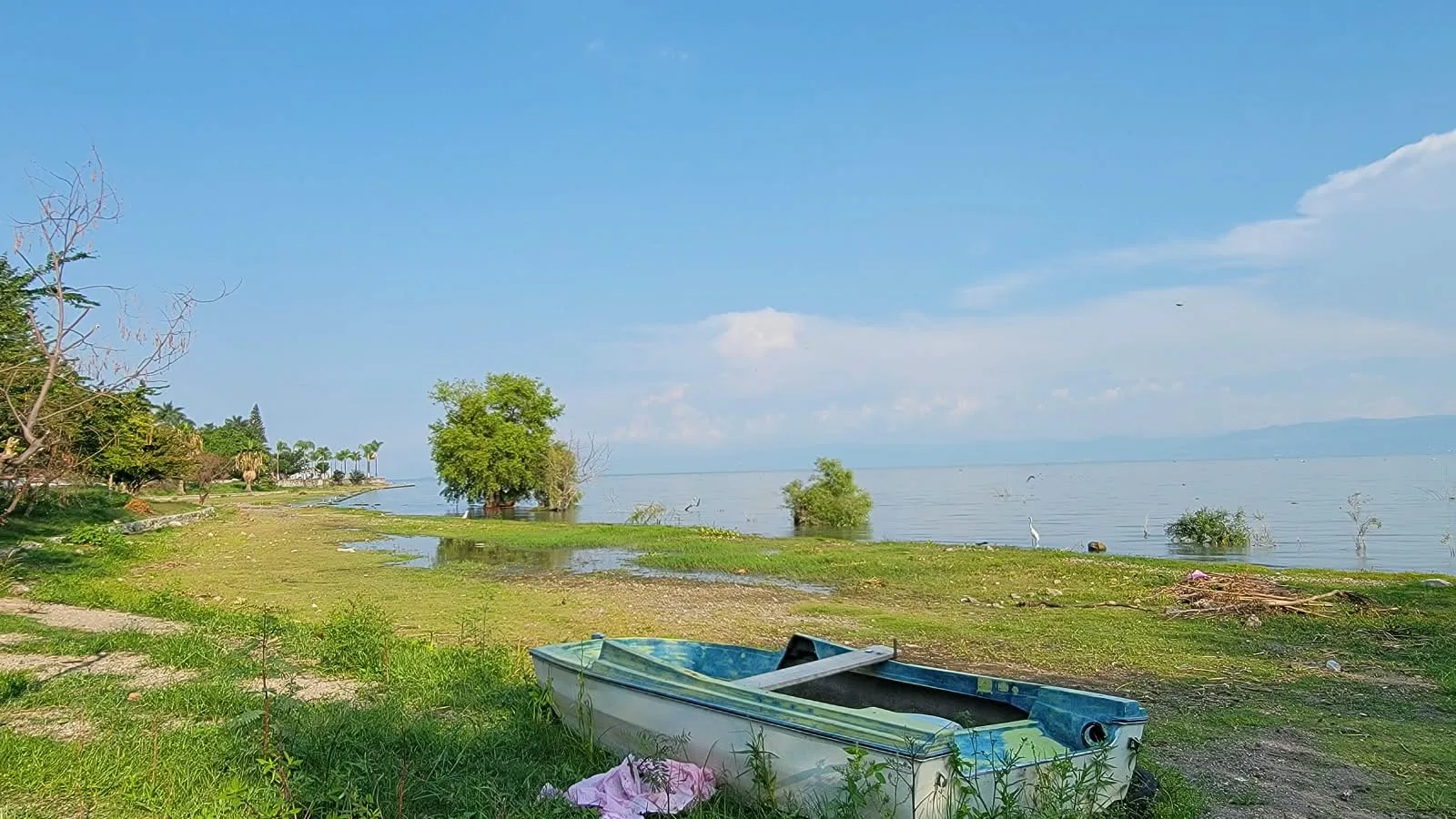 Lluvias definirán cuánto recupera el lago de Chapala esta temporada 