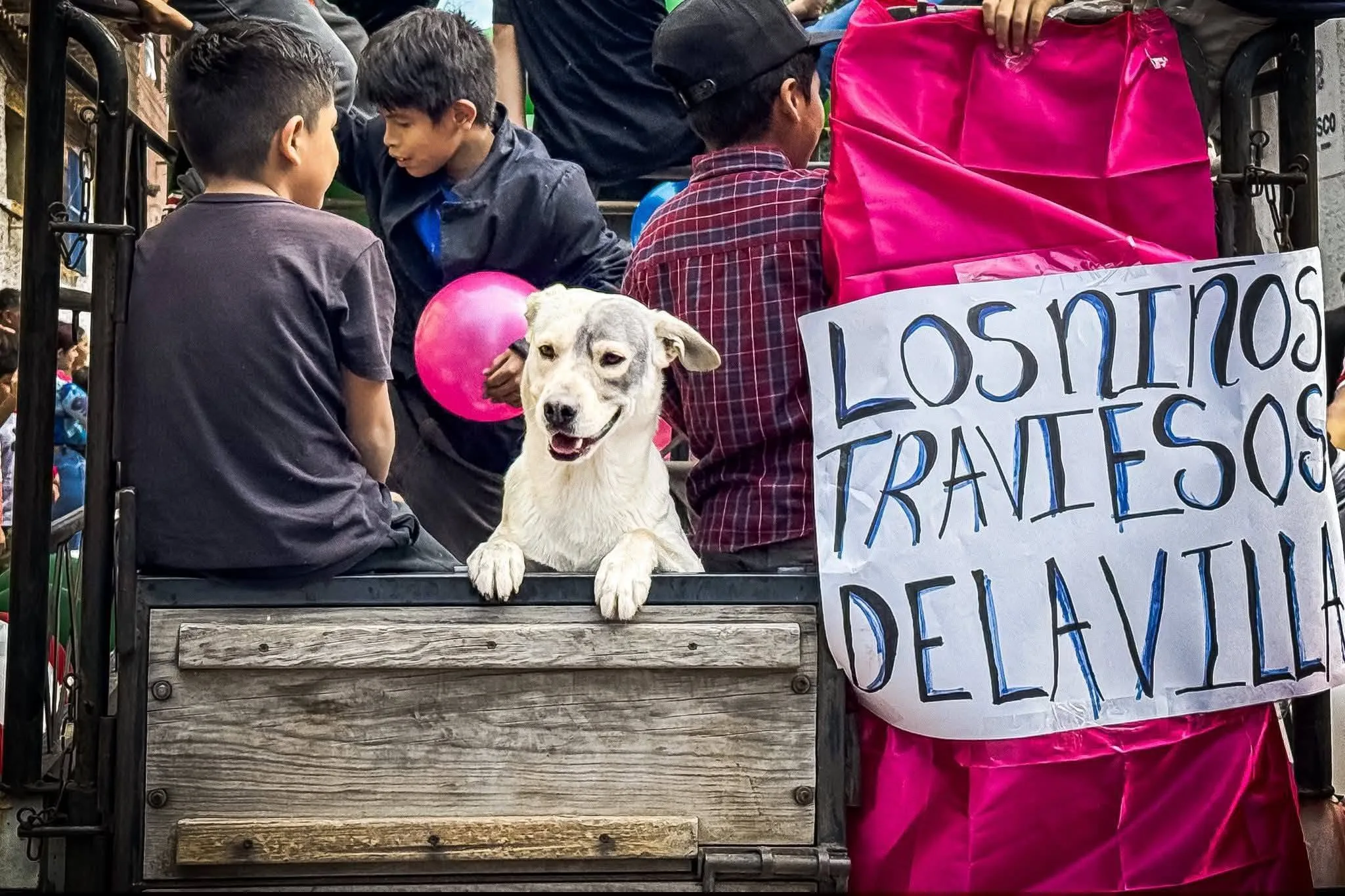 Envenenamiento de perros en Ajijic genera alerta por riesgo para la comunidad 