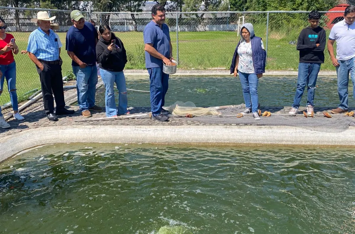 Capacitan en acuicultura para impulsar producción de tilapia, carpa y bagre en Jocotepec