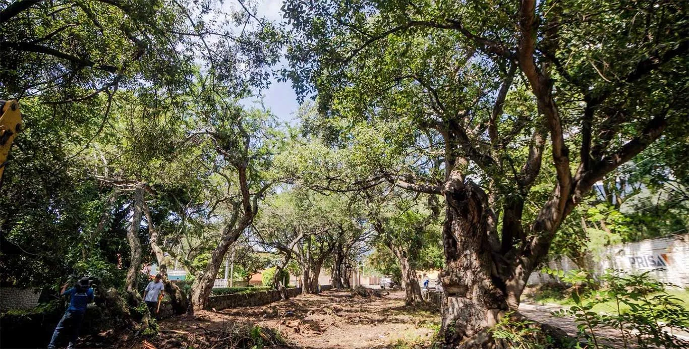 Le dan limpieza a los carriles en La Floresta